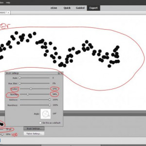 PSE Load Brushes3
