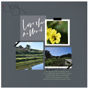 Paislee-PressPlate-No44-template