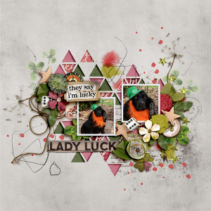 FF_3-19_M3_Soco_Lady Luck