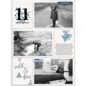 Week 11 - Wild & free