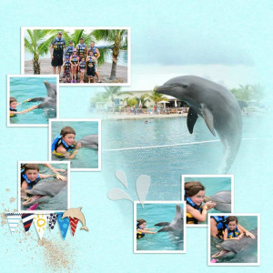 2014.10.30-Dolphins