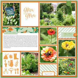 Community Garden 2007