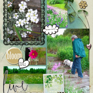 NBK-Design_2021-03_March_SOSN_0324_Poppin-Blossoms_web