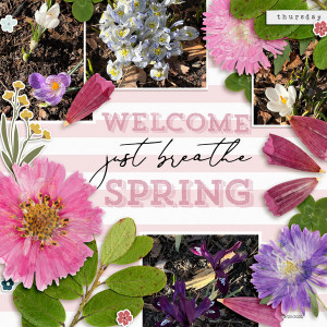 Welcome Spring