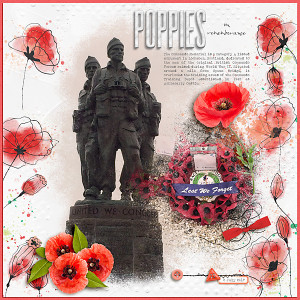 Poppies in rememberance