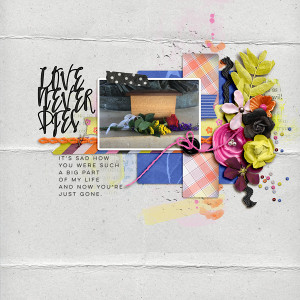 SOSN_4-7_PRD_Love Never Dies