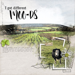 Different Moo - DS