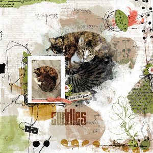 Cuddles