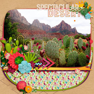 Spectacular Desert