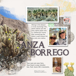 Anza Borrego Hike