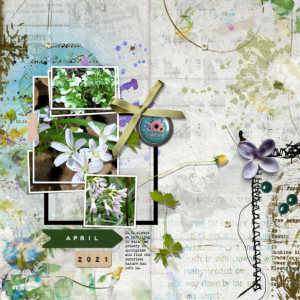NBK-Design_2021-04_April_NEW_0423_Bloom_web