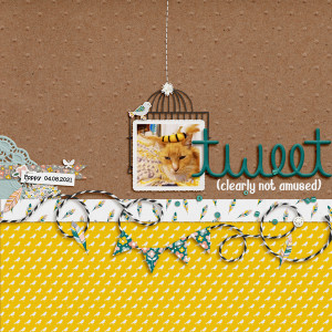 Tweet