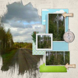 Forest long walks