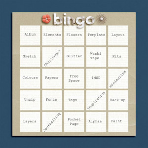 Bingo INSD 2021