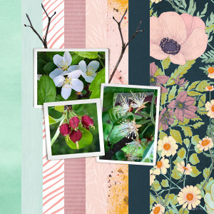 INSDSlowMotionSpeedScrapFri