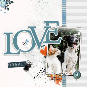 Braver