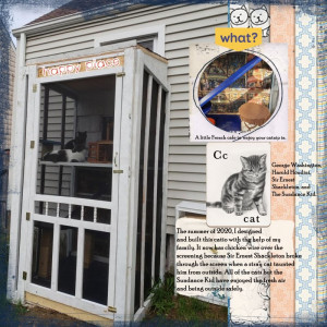 The Catio Project