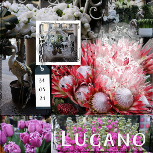 210331_Lugano