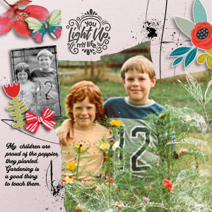 Flowers Planted