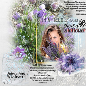 Advice-from-a-Wildflower_SlowScrap May 2021