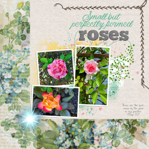 Slow Scrap_roses