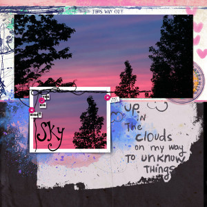 The Big Night Sky