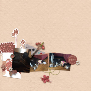 05-scraplift