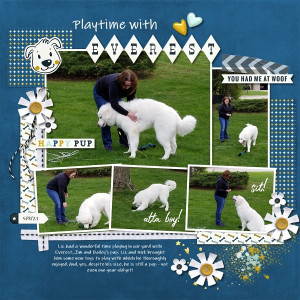 Playtime With Everest