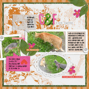 210515_ciro Cat