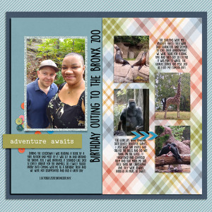 Designed by Soco: Day at the Zoo