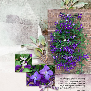 18June2021_SlowScrap_flowersgal_web