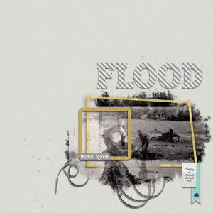 Flood
