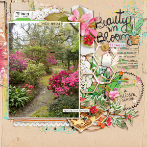 Beauty In Bloom