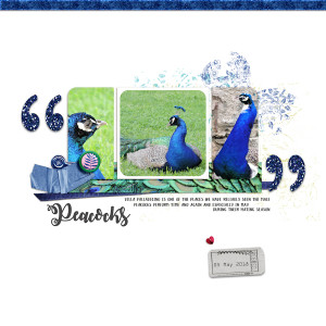 18may05_peacocks