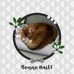 Bonne Nuit
