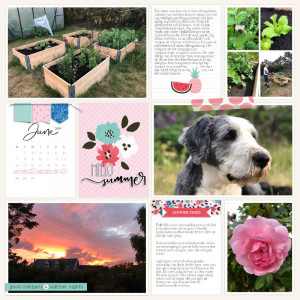 Week 25 2021 A