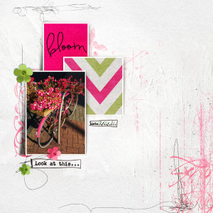 SlowScrap: Bloom