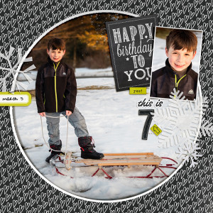 2021-3-3-carter-sled-_600web