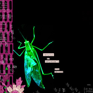 2021-07_July-TLP_Summer-School_2_Brush-Border_600web