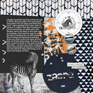 Slowscrap_722_zebra