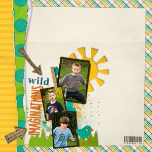 Wild Imaginations