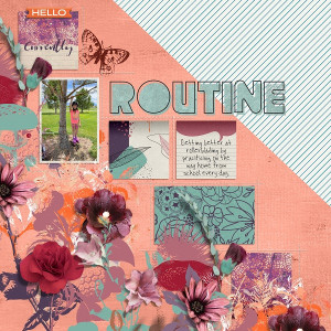 Routine