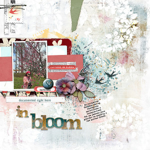 in bloom