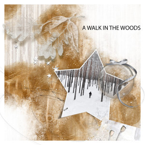 A Walk in the Woods
