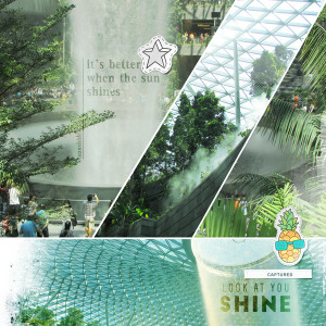 (R) jewel, SG