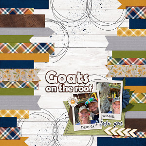 AugustStyleChallenge_Goats