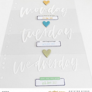 Paislee-DAILYJOYS-project6byNadia