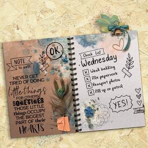 Checklist
