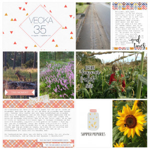 Week 35 2017 a