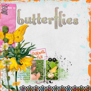 Butterflies